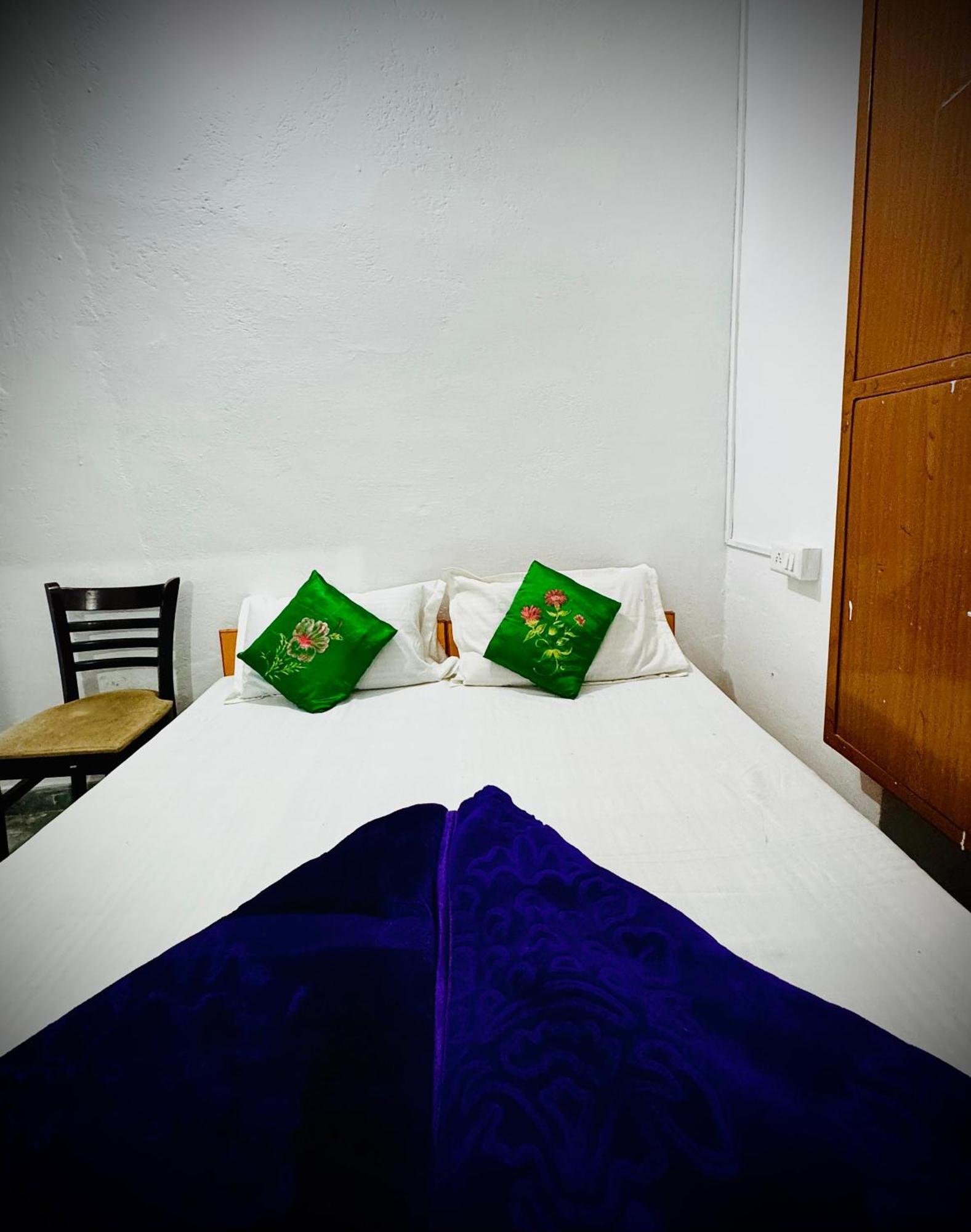 Mohan Villa Guest House Udaipur Buitenkant foto