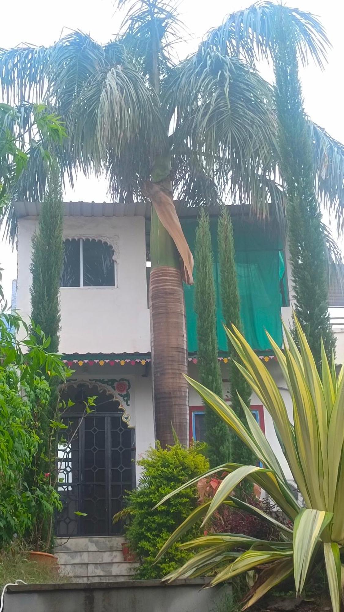 Mohan Villa Guest House Udaipur Buitenkant foto