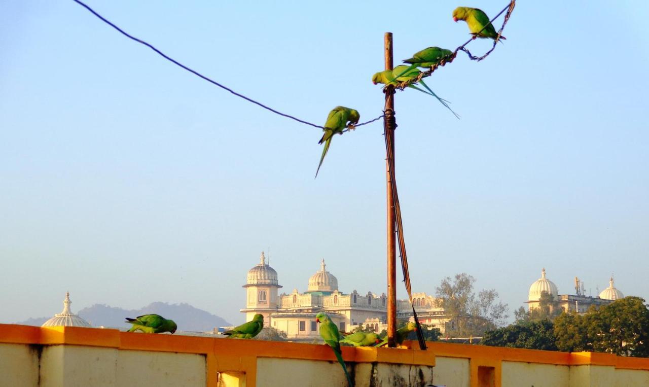 Mohan Villa Guest House Udaipur Buitenkant foto