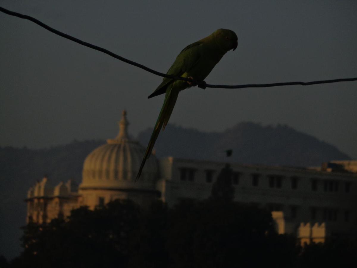 Mohan Villa Guest House Udaipur Buitenkant foto